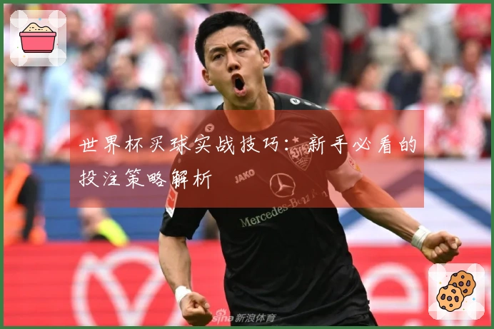 世界杯买球实战技巧：新手必看的投注策略解析