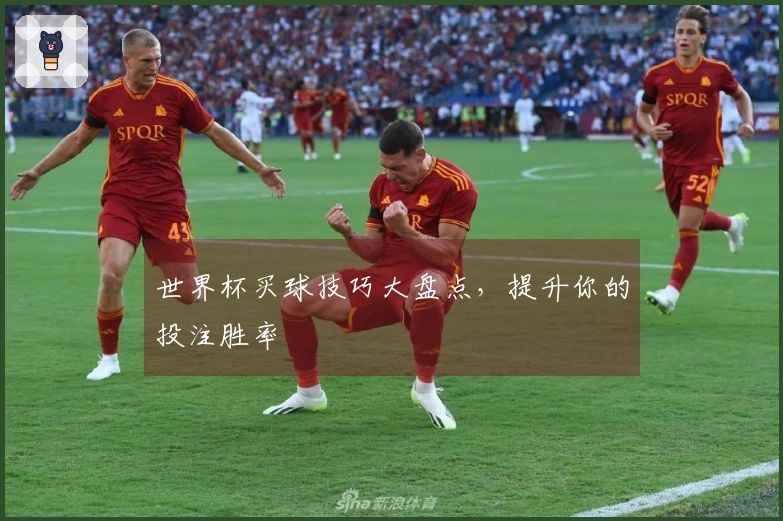世界杯买球技巧大盘点，提升你的投注胜率