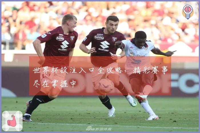 世界杯投注入口全攻略，精彩赛事尽在掌握中