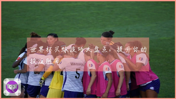 世界杯买球技巧大盘点，提升你的投注胜率